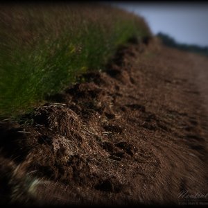 Really Rural