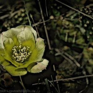 Textured Fine Art