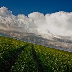 Jul 23, 2012: The Shortest Distance
