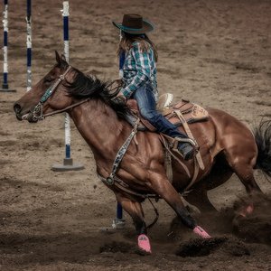4H Gooseberry Lake Rodeo 2013