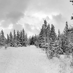 Canmore Trip November 2022