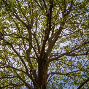 Ray's Canon EOS 7D