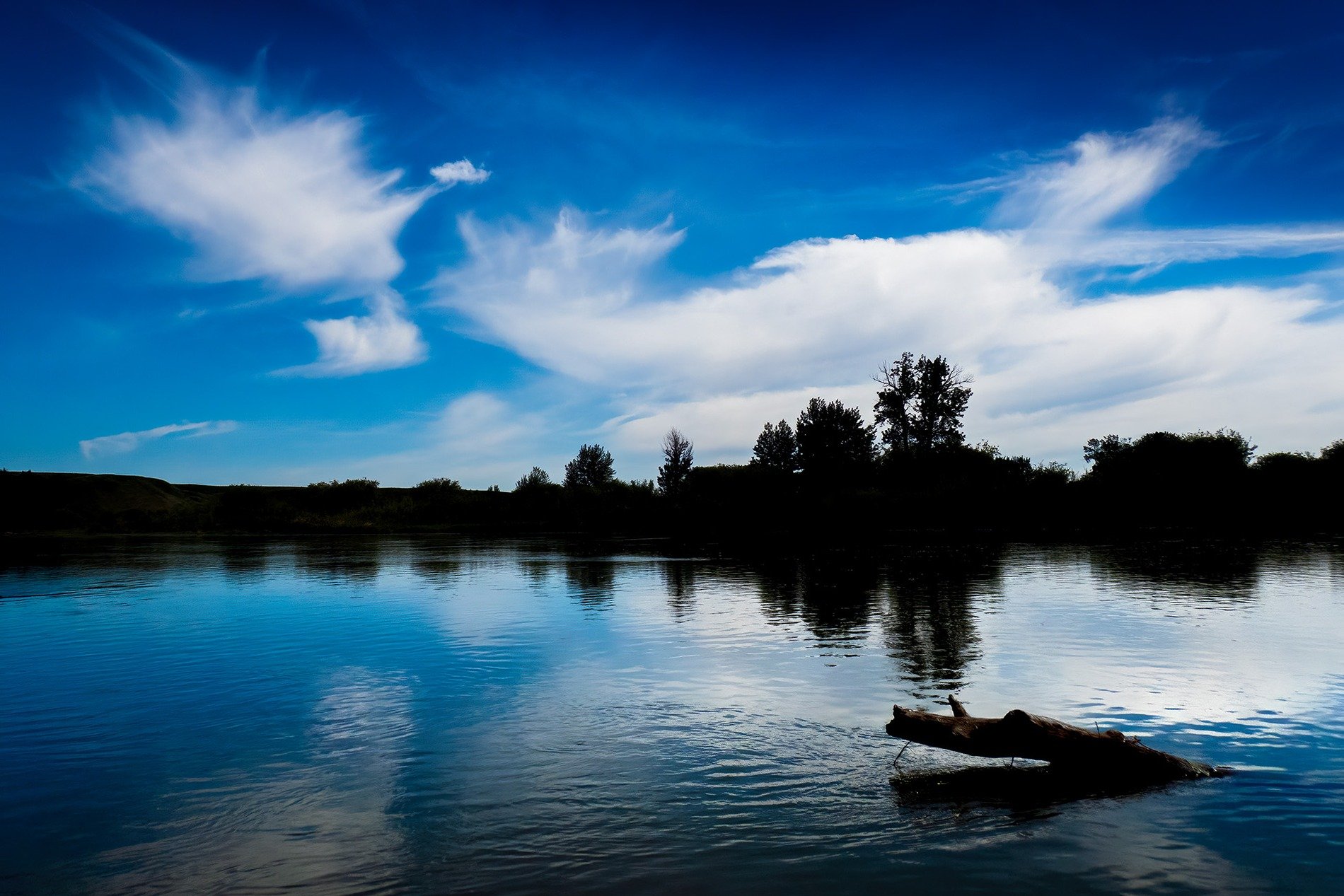 Got dem blues, Johnson's Island, Wyndham Carseland Prov Park, AB, 2025-06-14