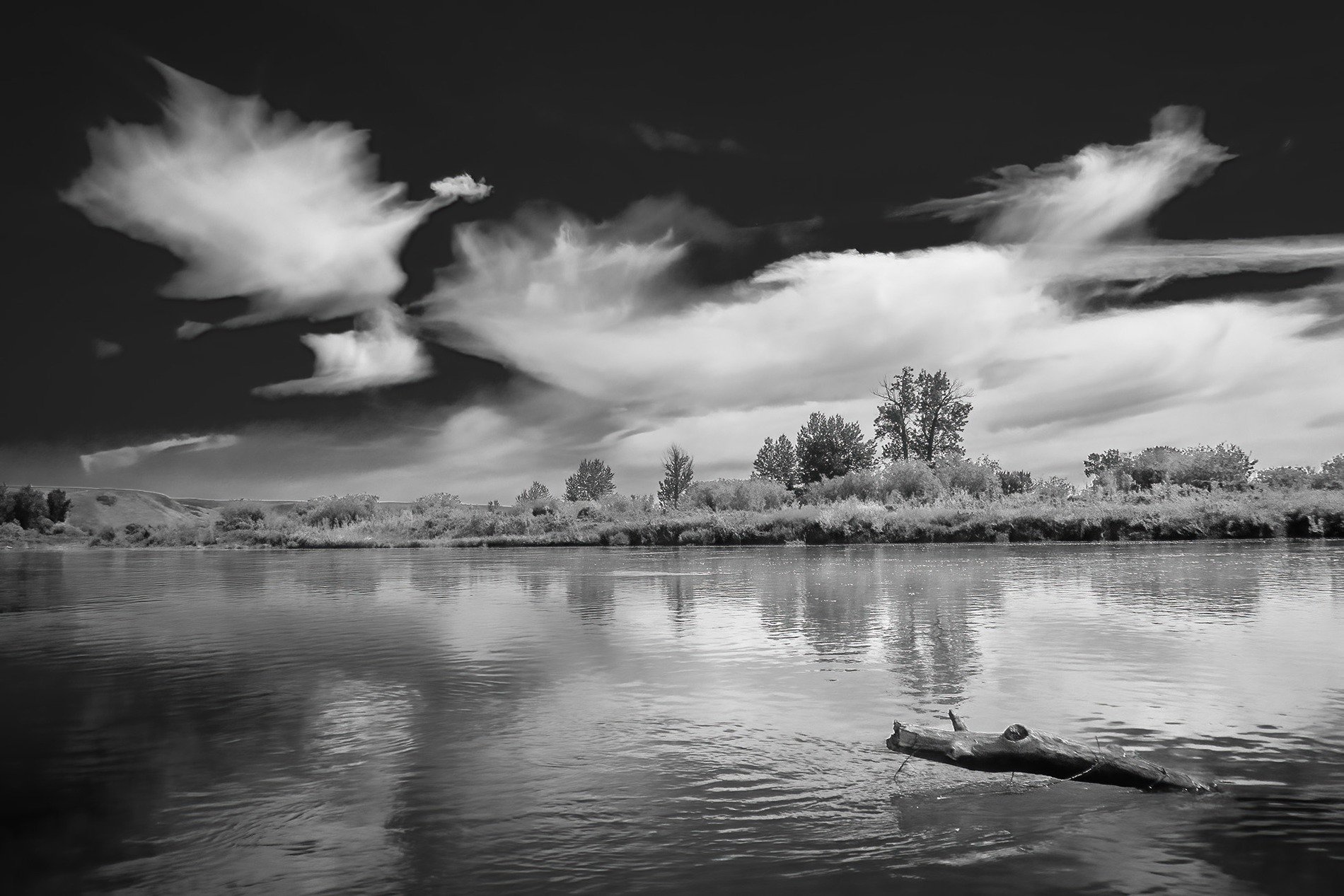 Like a record baby, Johnson's Island, Wyndham Carseland Prov Park, AB, 2025-06-14