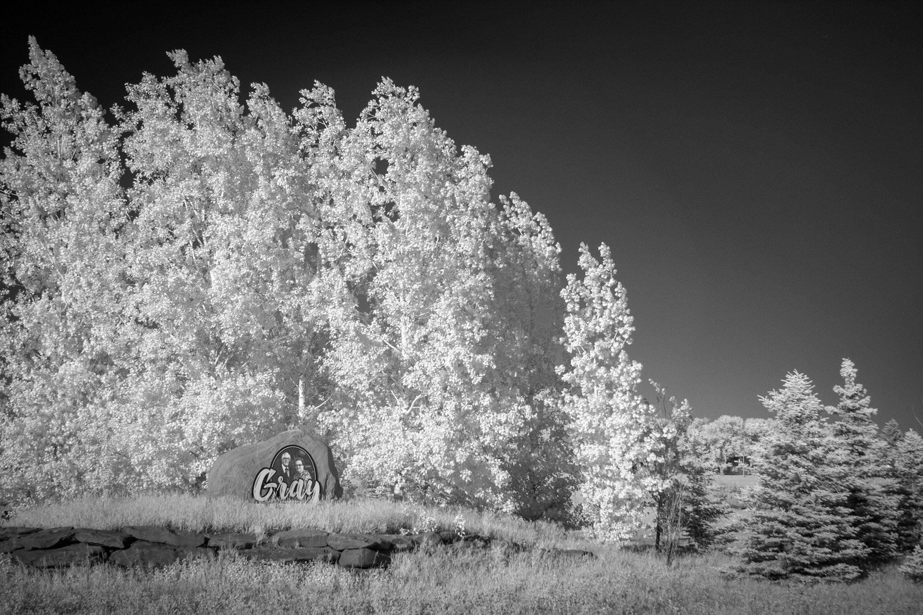 Signage, Gray Park, Strathmore, AB, 2026-06-19
