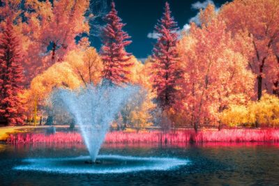 Fountain of youth, Kinsmen Lake, Strathmore, AB, 2026-06-09 (False Colour)