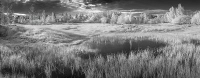 The wide view, Gray Park, Strathmore, AB, 2026-06-19