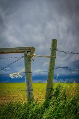 You're going to need more rope, North of Strathmore, AB, 2026-06-20