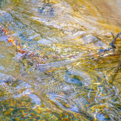A close-up view of clear water flowing over a golden rocky riverbed in Banff. A thin, dark branch lies partially submerged, with gentle ripples and reflections creating abstract patterns on the surface.