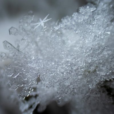 The Crystaline Entity, Gray Park, Strathmore, AB, 2026-01-04