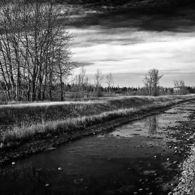 Black and white landscape showing a shallow icy canal flanked by dead grass and bare trees under a cloudy sky.