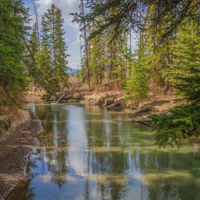 A tranquil river flows through a dense evergreen forest, with blue sky and trees clearly reflected on the water's surface.