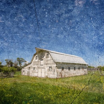 We're number one, North of Strathmore, Rocky View County, AB, 2026-07-04