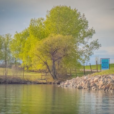 A view from the water looking toward a rocky shoreline and a grassy embankment. A blue sign reading "PRAIRIE OASIS PARK" stands near a cluster of bright green spring trees under a cloudy sky.