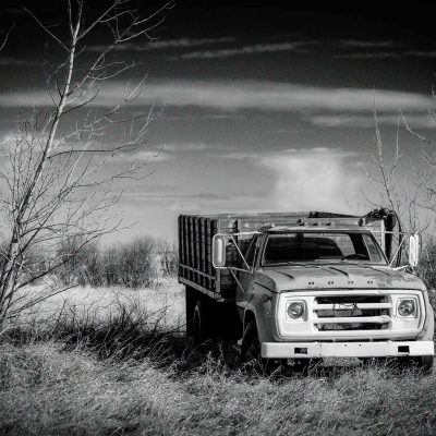 A black and white photograph of a vintage Dodge stake-body truck parked in a dry, grassy field flanked by bare trees under a cloudy sky.