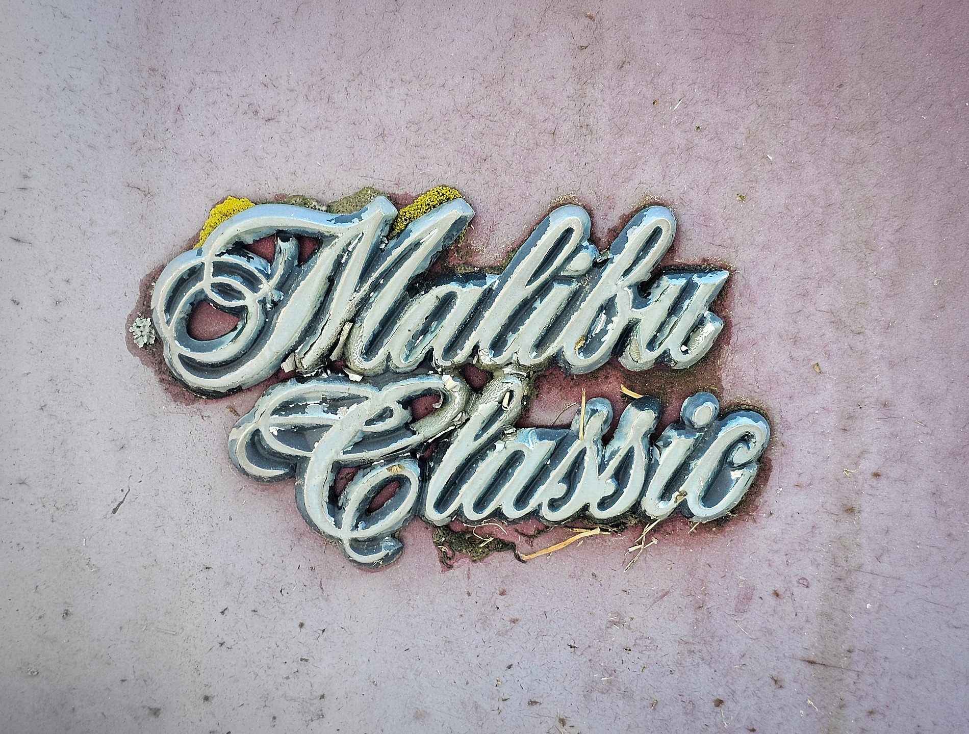 Malibu Classic, Pigeon Lake area, Alberta, 2026-10-12
