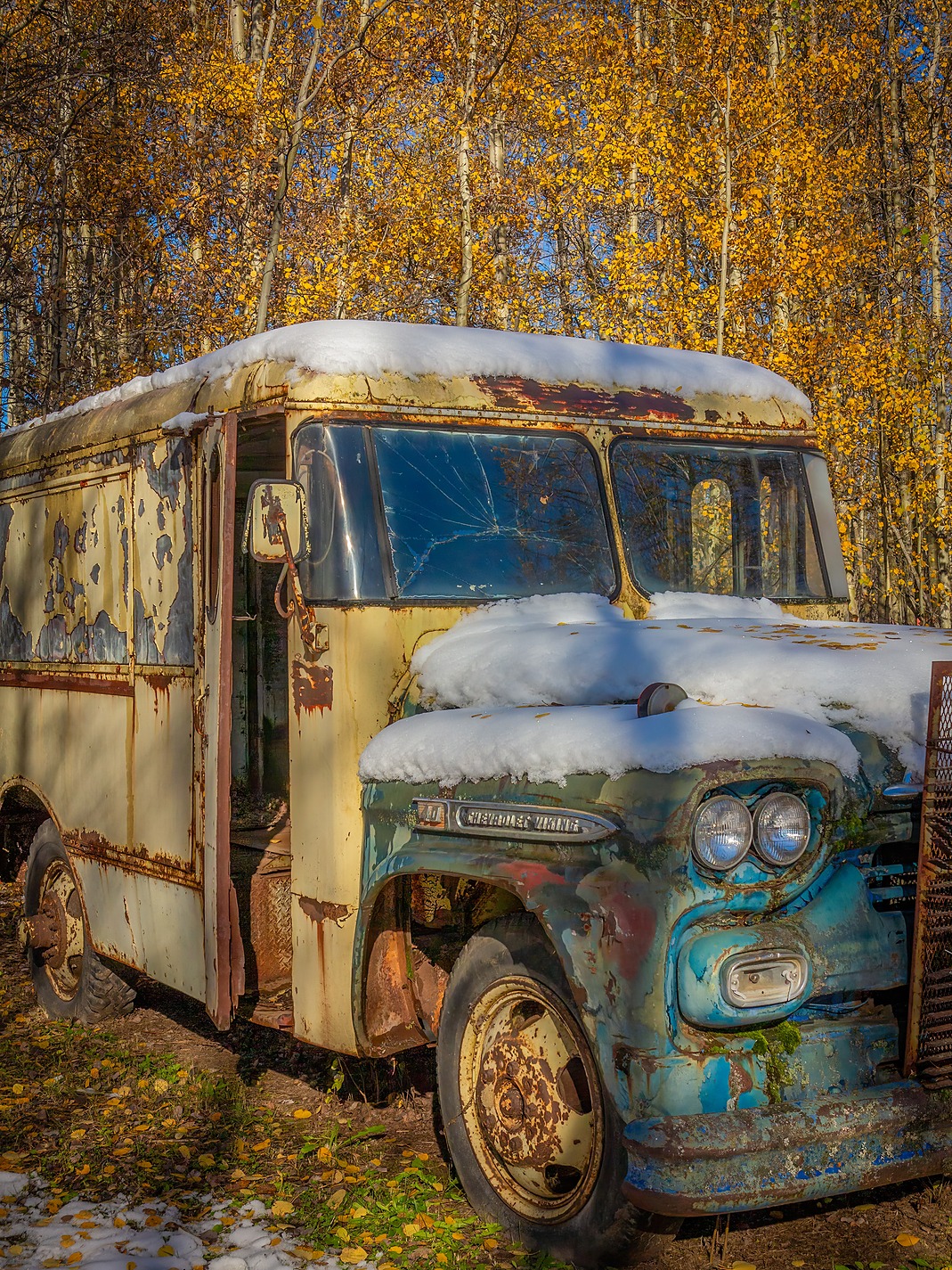 Milk run, Somewhere in the Pigeon Lake area, Alberta, 2026-10-12