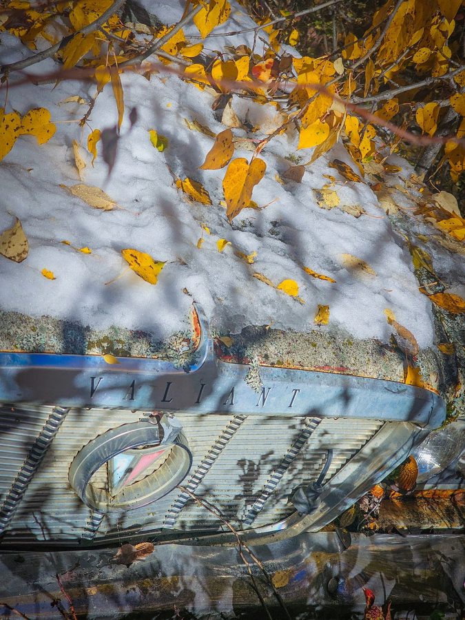 Hidden valor, Pigeon Lake area, Alberta, 2026-10-10