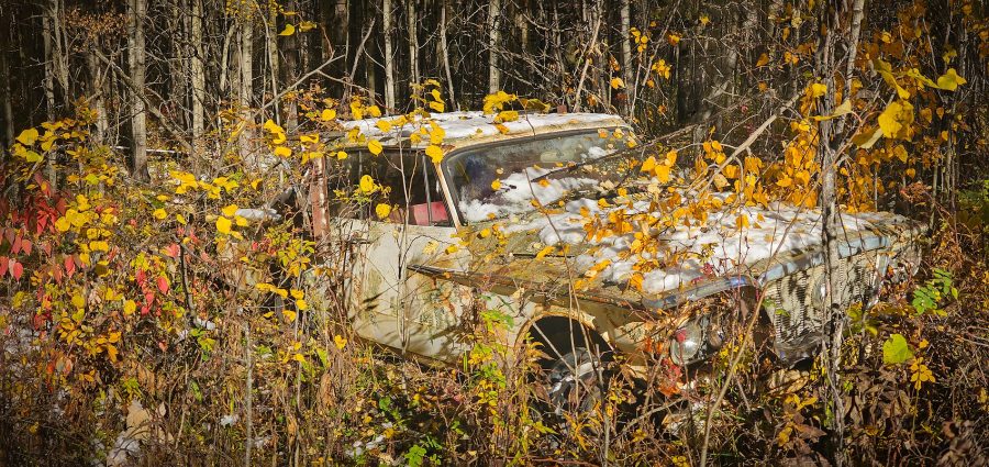 Less Valiant than imagined, Pigeon Lake area, Alberta, 2026-10-12