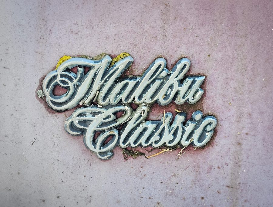 Malibu Classic, Pigeon Lake area, Alberta, 2026-10-12