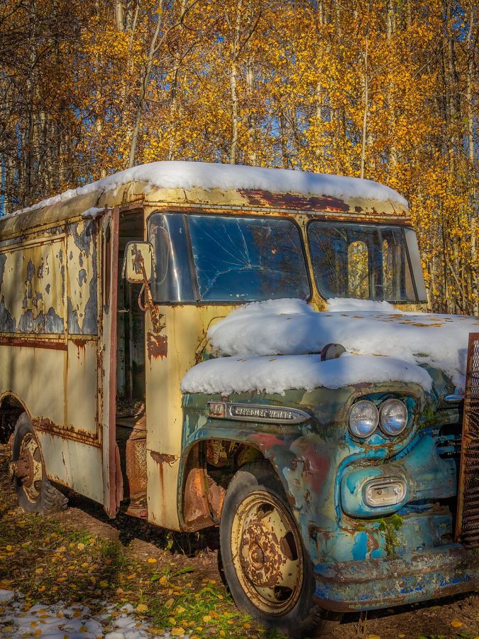 Milk run, Somewhere in the Pigeon Lake area, Alberta, 2026-10-12